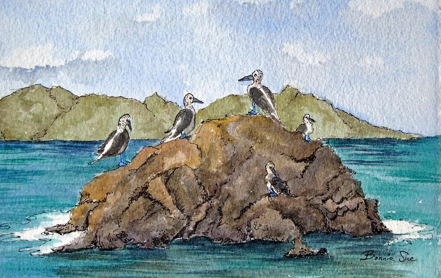 Bird Painting - Blue Footed Boobies in Galapagos by Bonnie Sue Schwartz