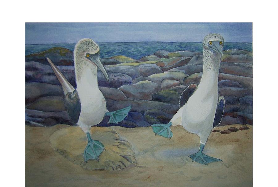 Bird Painting - Blue Footed Boobys Mating Dance by Carmen Durden