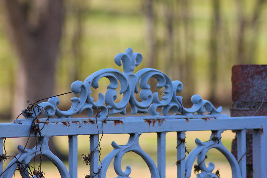 Nature Photograph - Blue Gate by Karen Wagner
