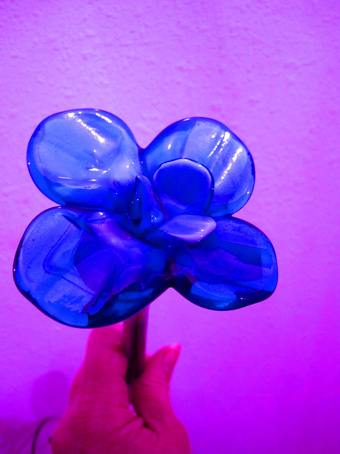 Blue Glass Purple Wall Pink Hand Photograph by Kym Backland