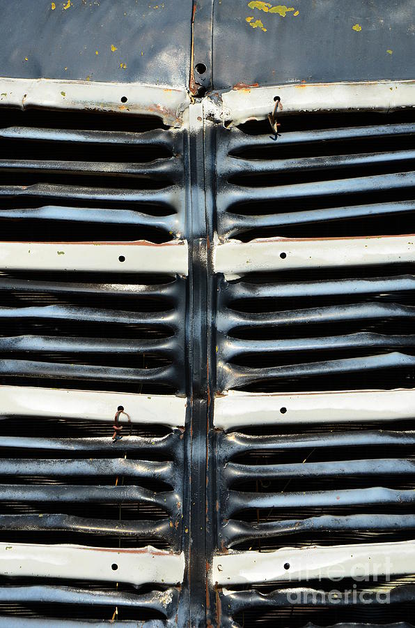 Blue Grill Photograph by Newel Hunter