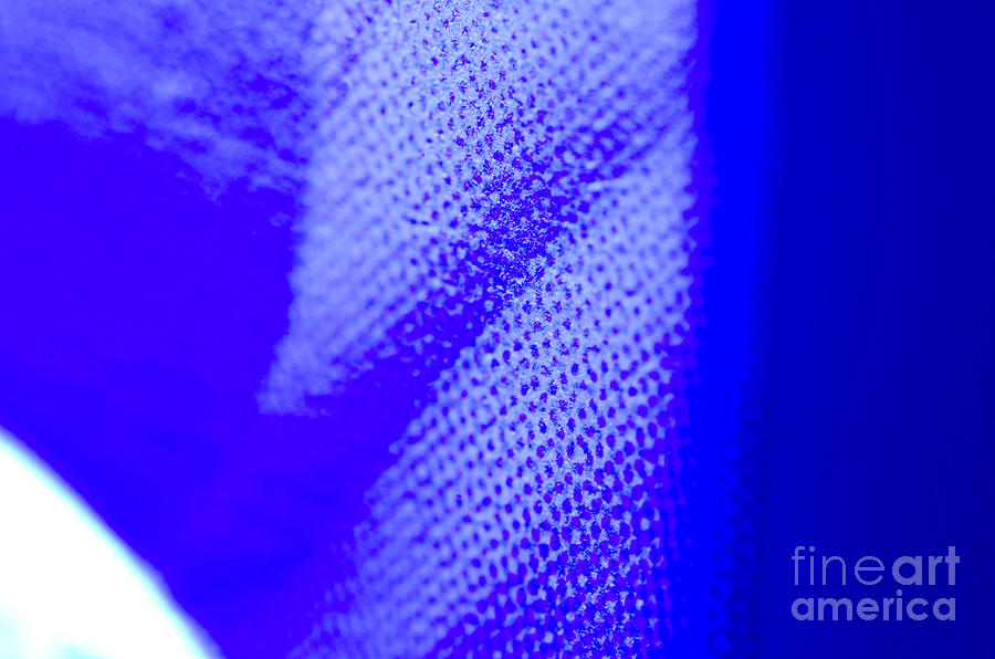 Blue Halftone Abstract Photograph Texture In Bright Full Tones Of Blue Photograph