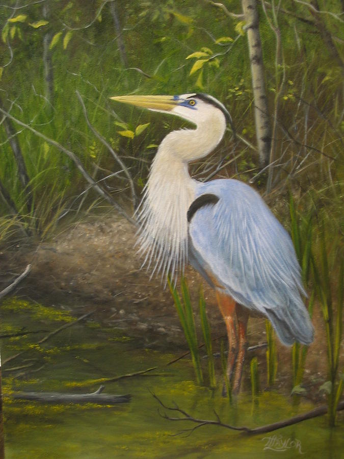 Blue Heron Painting by Tammy Taylor