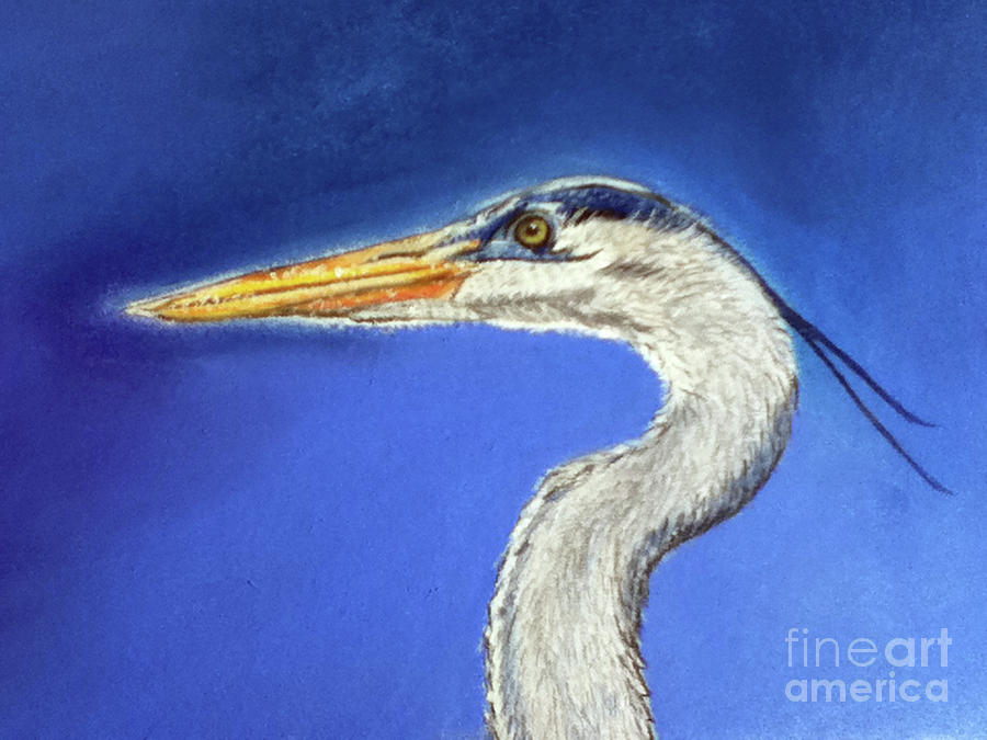 Heron Painting - Blue Heron by Teresa Vecere