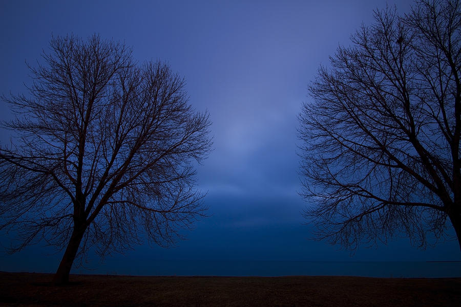Blue Hour Trees Silhouette Photograph by Sven Brogren