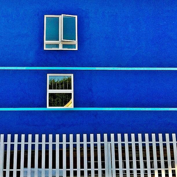 Sanfrancisco Photograph - Blue House by Julie Gebhardt
