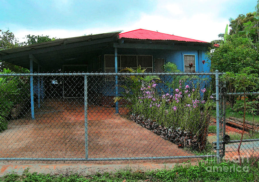 Blue House Red Roof by James Temple