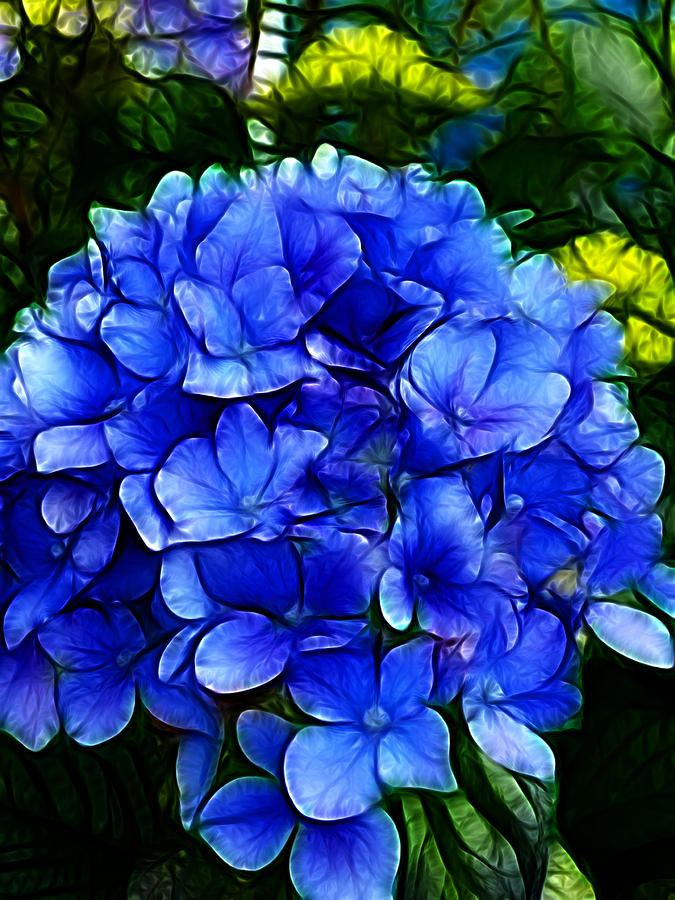 Blue Hydrangea Abstract Photograph by Cindy Wright