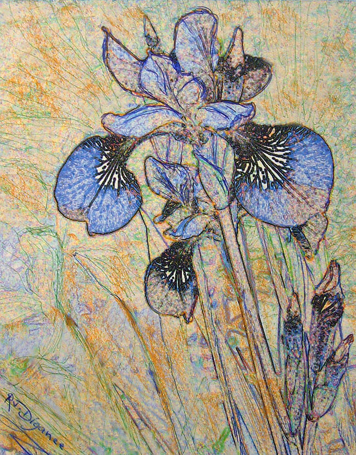Blue Iris  Painting by Richard James Digance