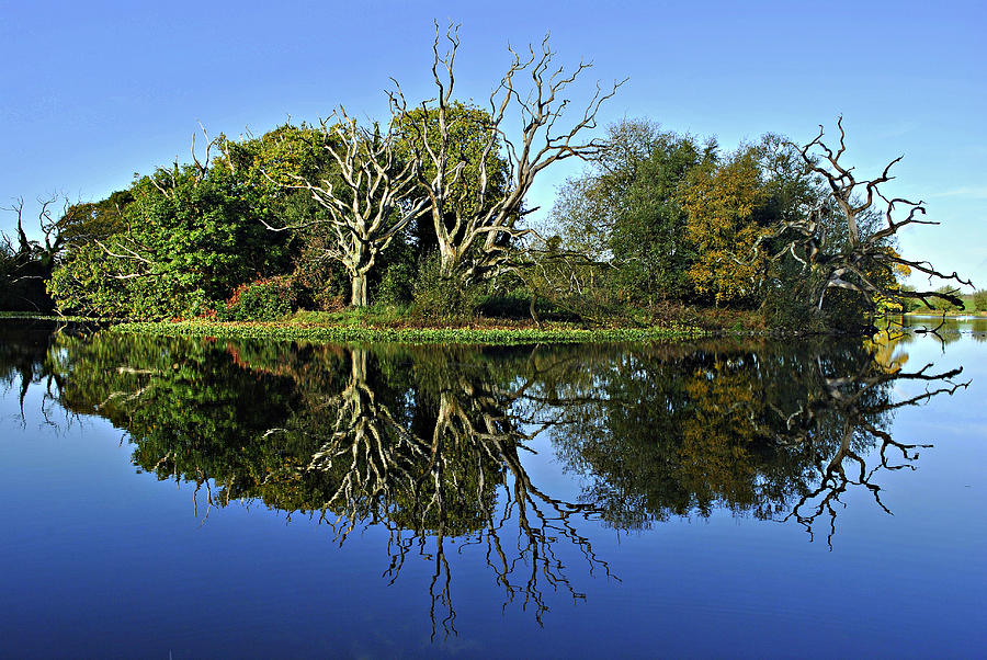 Blue Lake Reflections Photograph by Joe Ormonde