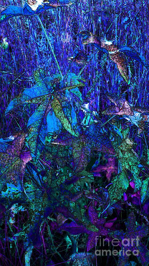 Blue Leaf Photograph by Steven Lebron Langston