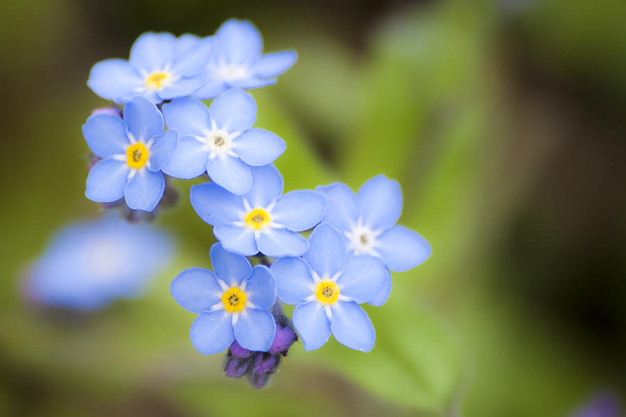 Blue Photograph by Marcus Grant - Fine Art America