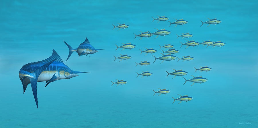 Blue Marlin and Yellowfin Tuna Digital Art by Walter Colvin