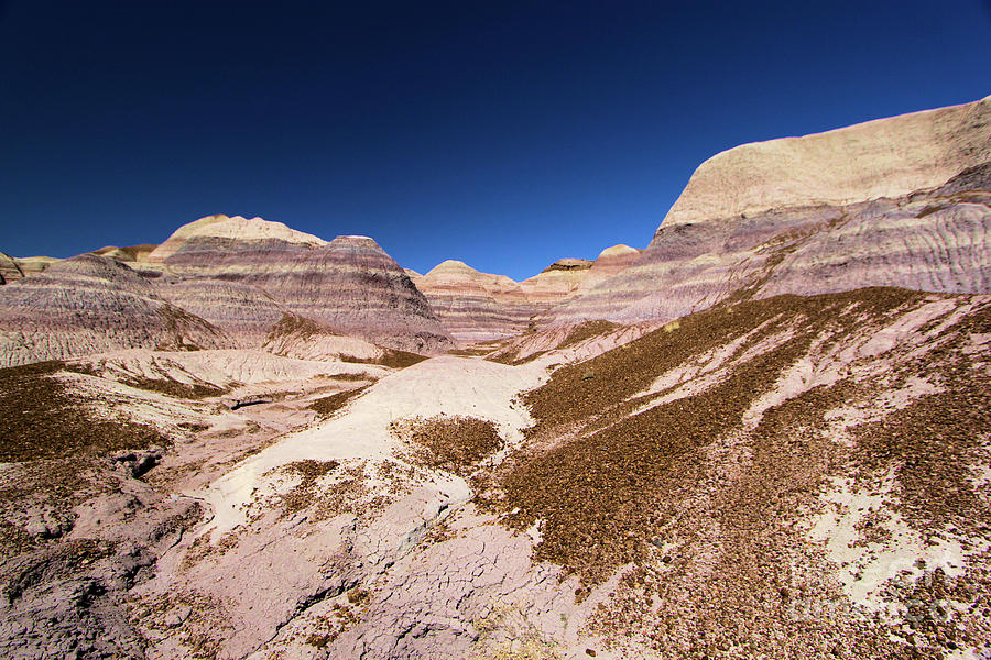 Blue Mesa Landscape Photograph by Adam Jewell