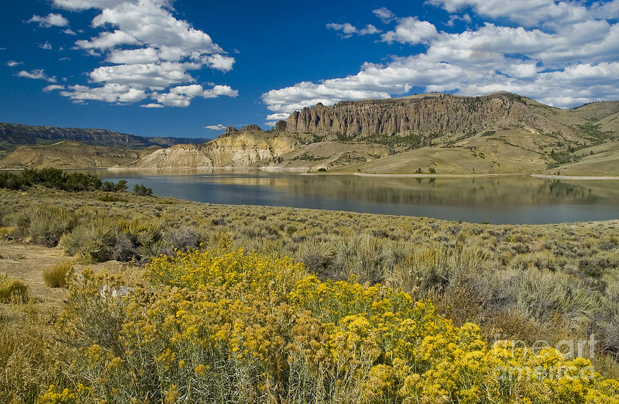 Blue Mesa Photograph - Blue Mesa Reservoir - H by Tim Mulina