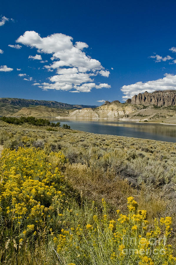 Blue Mesa Reservoir - V Photograph
