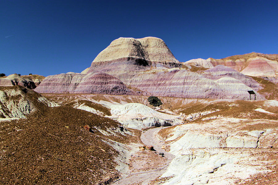 Blue Mesa Tower Photograph by Adam Jewell