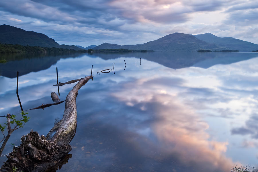 Blue moment Photograph by Brendan O Neill - Fine Art America