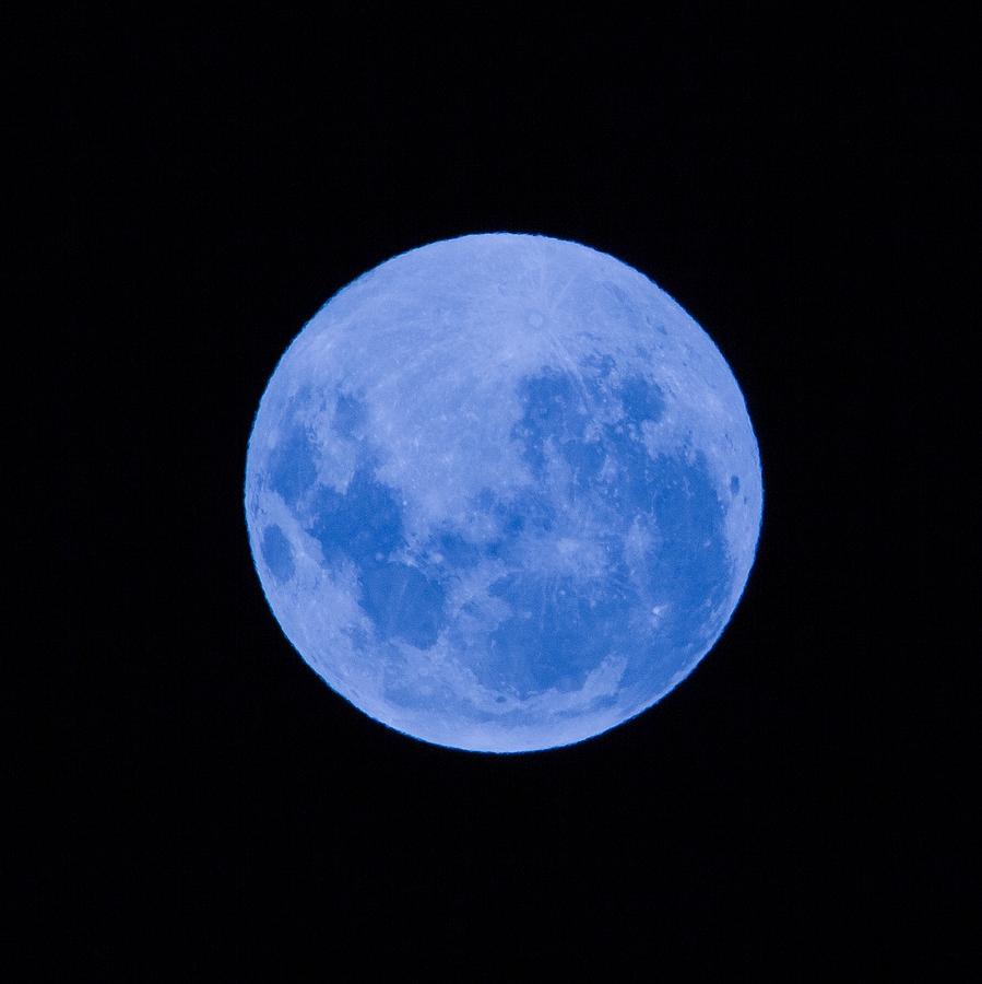 Blue moon Photograph by Craig Lapsley - Fine Art America