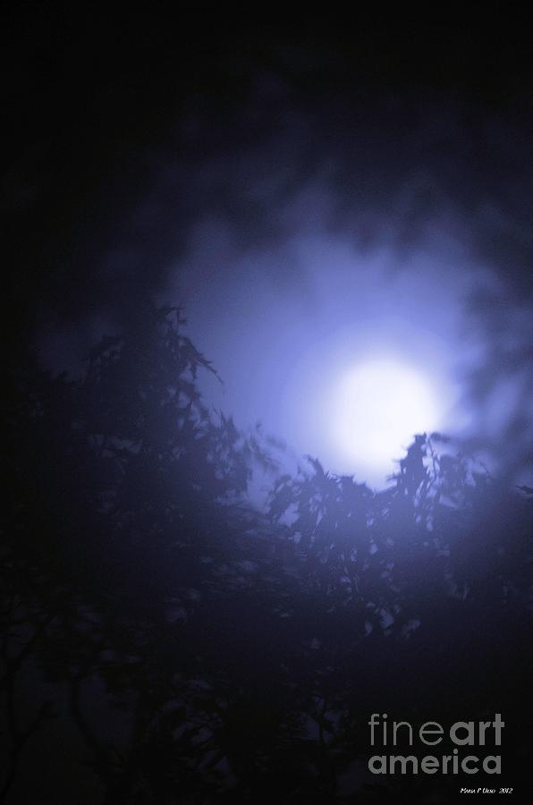 Blue Moon Photograph by Maria Urso