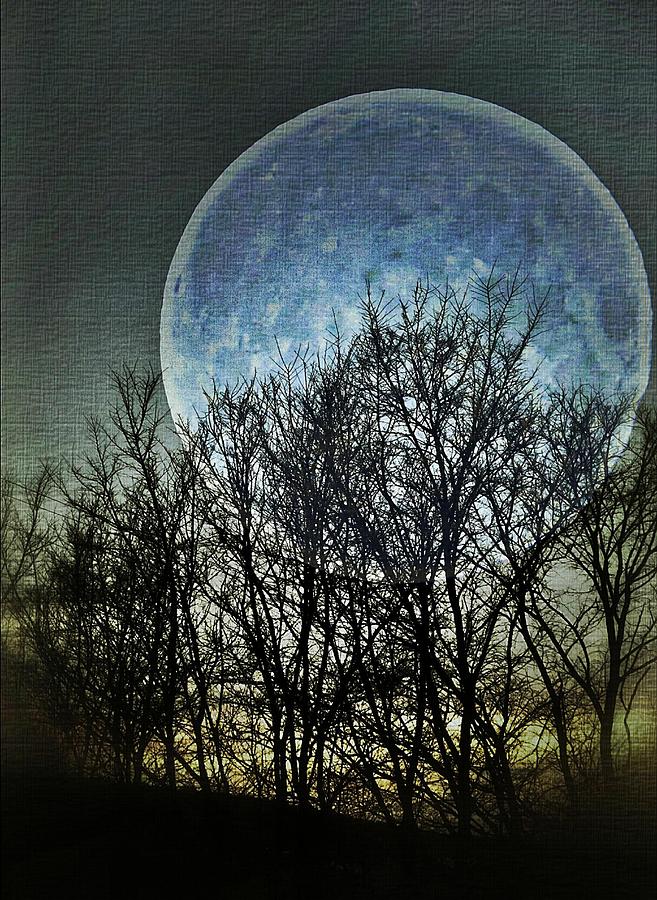 Blue Moon Photograph by Marianna Mills