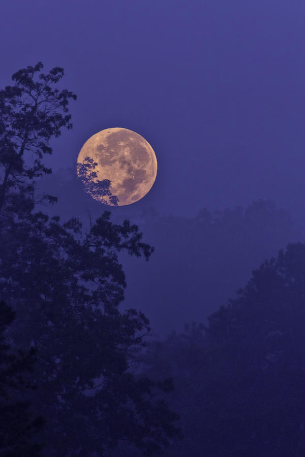 Blue Moon Rising Photograph by Rob Travis