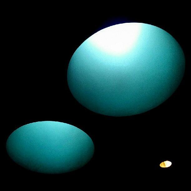 Blue Moons Photograph by Pablo Picasso