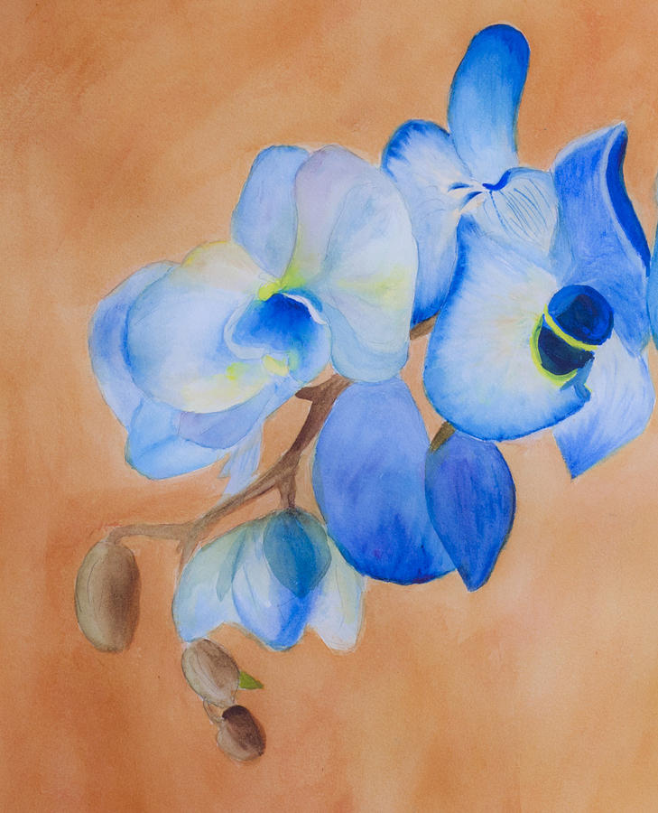 Blue Mystique Orchid Painting by Donna Walsh