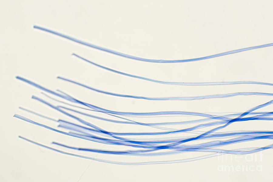 Blue Nylon Fibers Photograph by Ted Kinsman
