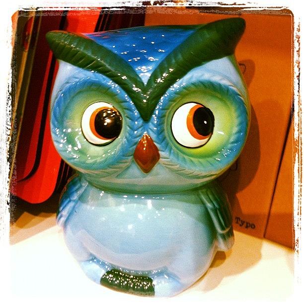 Owl Photograph - Blue #owl From #typo by Hope Trunfio