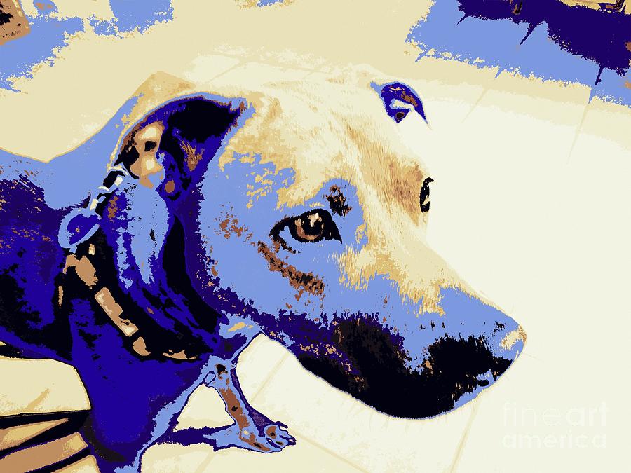 Blue Pit Bull Abstract Photograph by Renee Trenholm