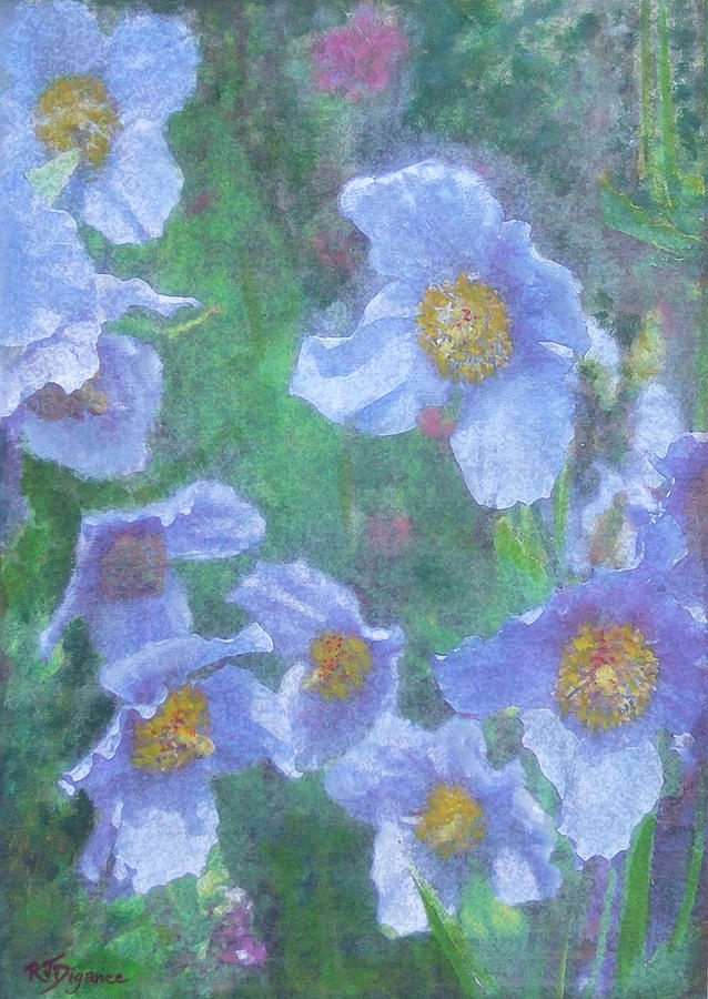 Blue Poppies Painting by Richard James Digance