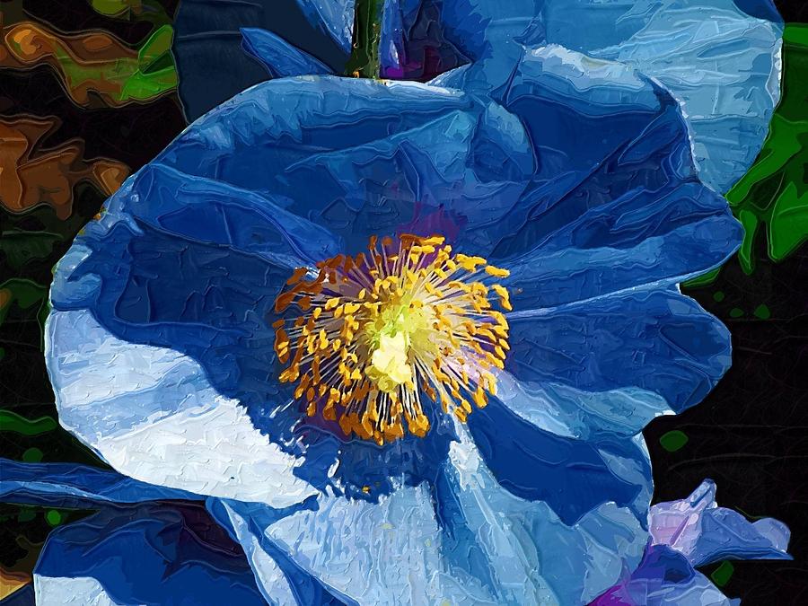 Blue Poppy Digital Art by Amanda Moore