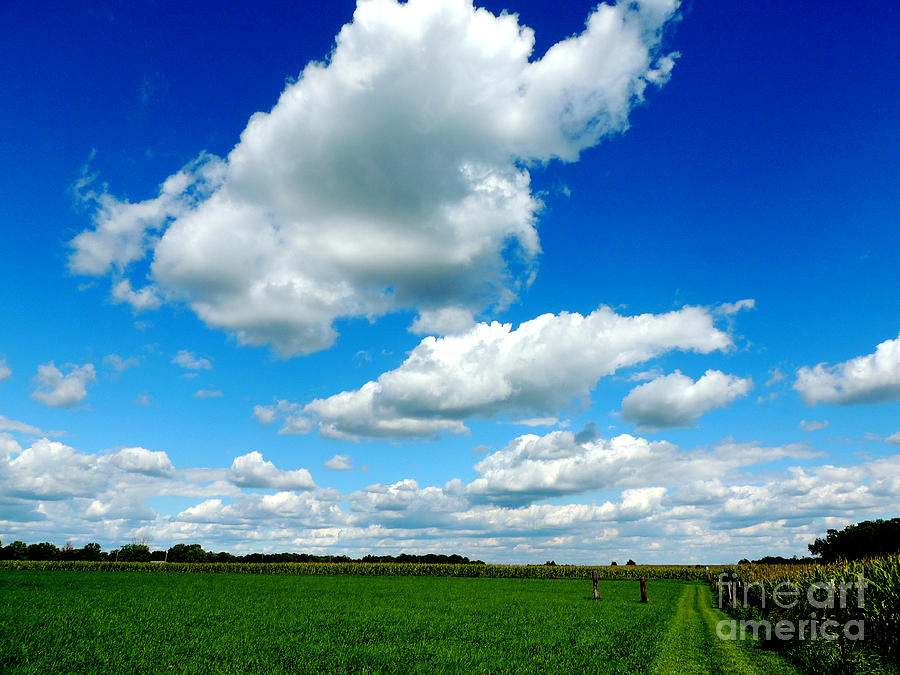 Blue Prairie Skies Photograph by Aubrey Campbell | Fine Art America