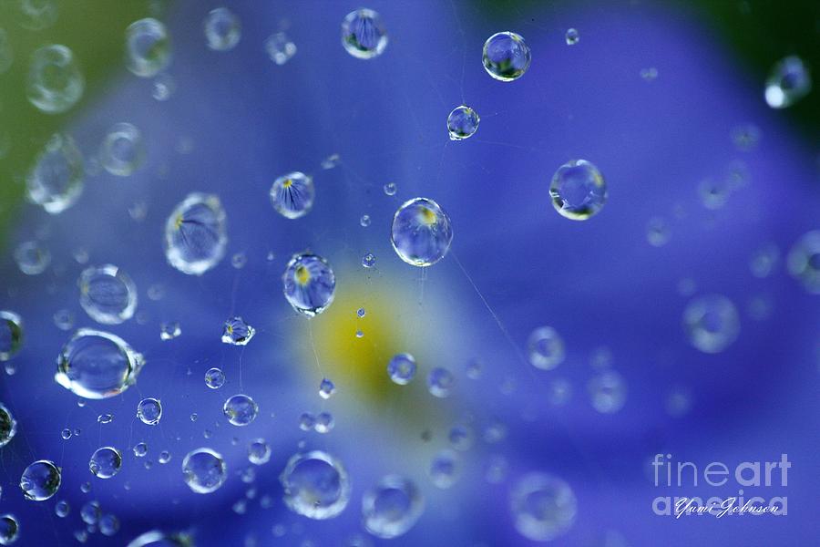 Blue Raindrops Photograph by Yumi Johnson