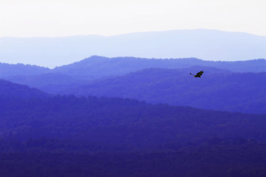 Blue Ridge - 1 Photograph by Alan Hausenflock