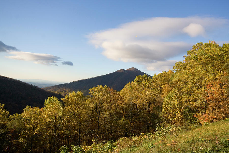 Blue Ridge Fall Photograph by Alan Raasch
