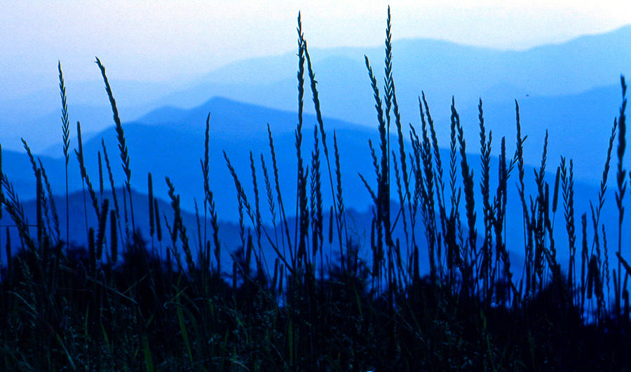 Blue Ridge Mountains Photograph by Lori Miller