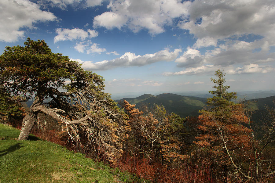 Blue Ridge Mountains NC Photograph by Joseph G Holland