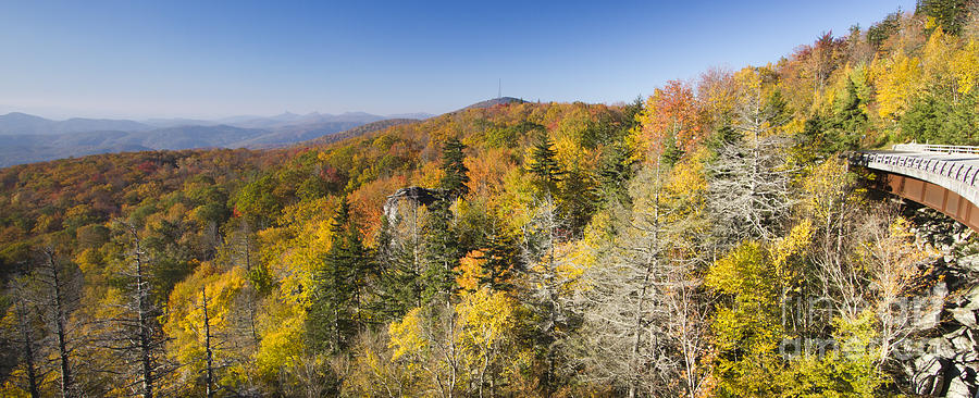 Blue Ridge Parkway in Autumn Photograph by Dustin K Ryan