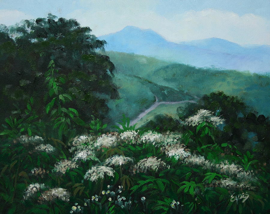 Blue Ridge Summer Painting by Linda Eades Blackburn