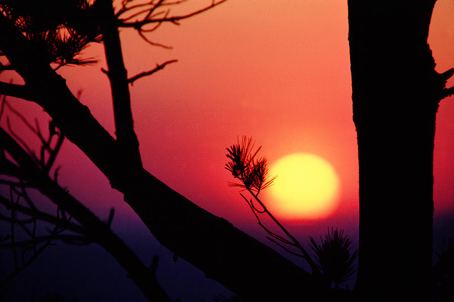 Blue Ridge Sunset Photograph by Mike Flynn