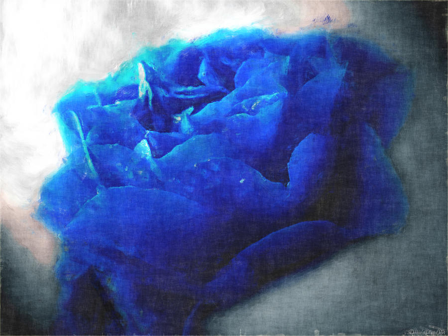 Blue Rose Digital Art by Debbie Portwood