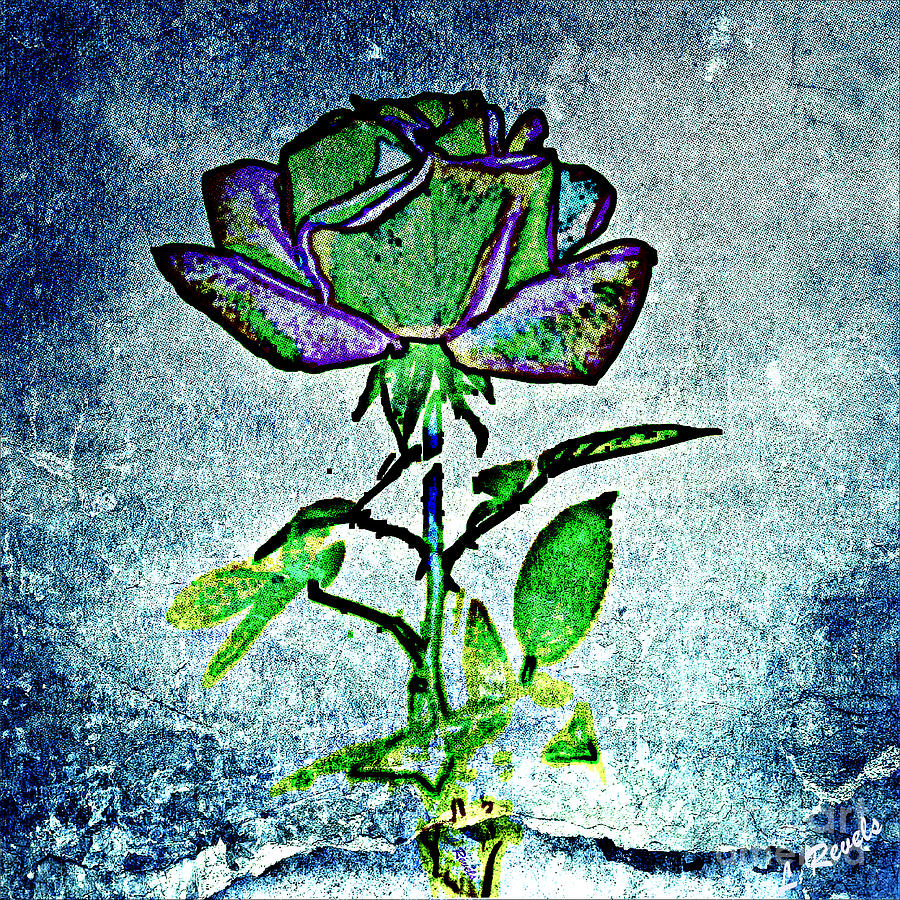 Blue Rose Photograph by Leslie Revels