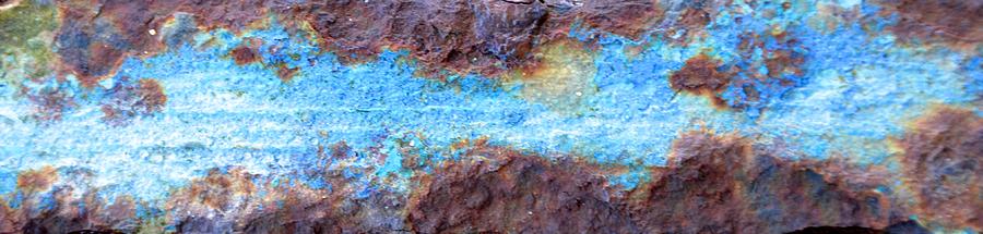 Blue Rust Photograph by Catherine Murton