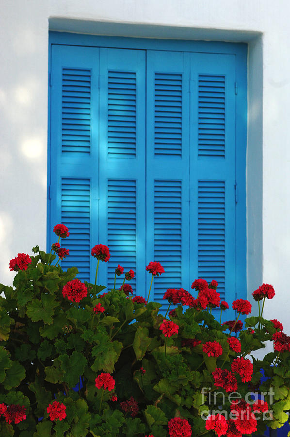 Blue Shutters and Red Flowers Photograph by Bob Christopher