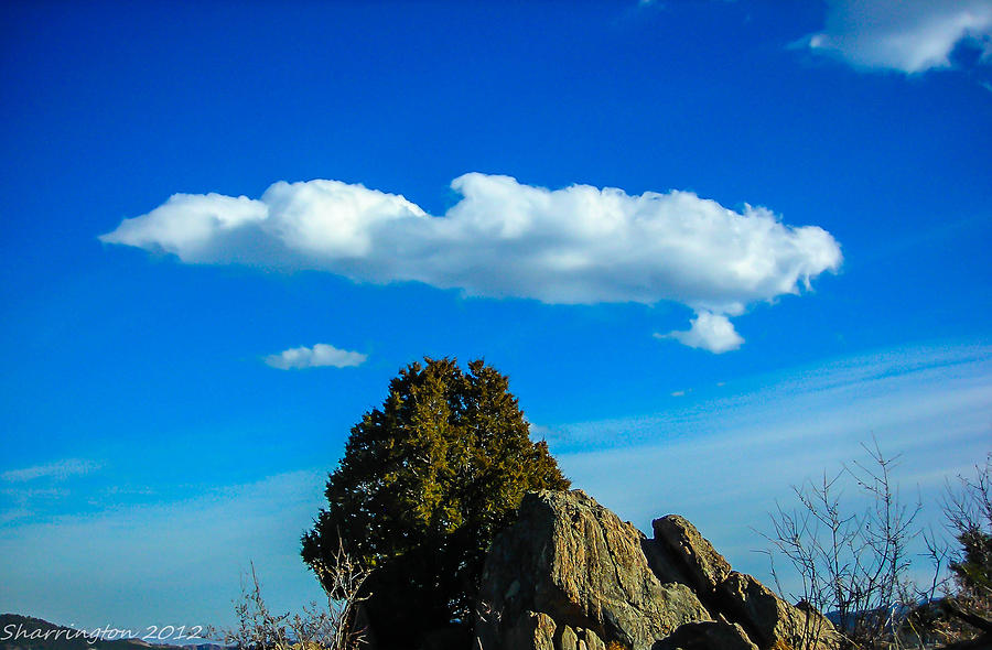 Blue Skies Photograph by Shannon Harrington