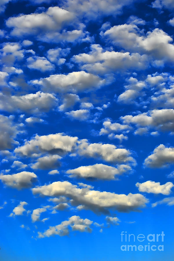 Blue Sky And Clouds Photograph by Pat Davidson