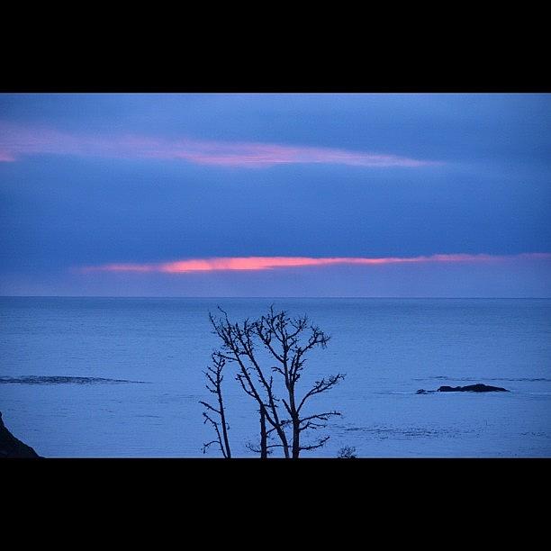 Sunset Photograph - Blue sky by Birgit Zimmerman