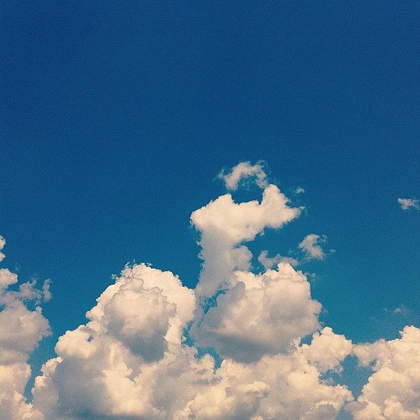 Summer Photograph - Blue Sky by Cassie OToole